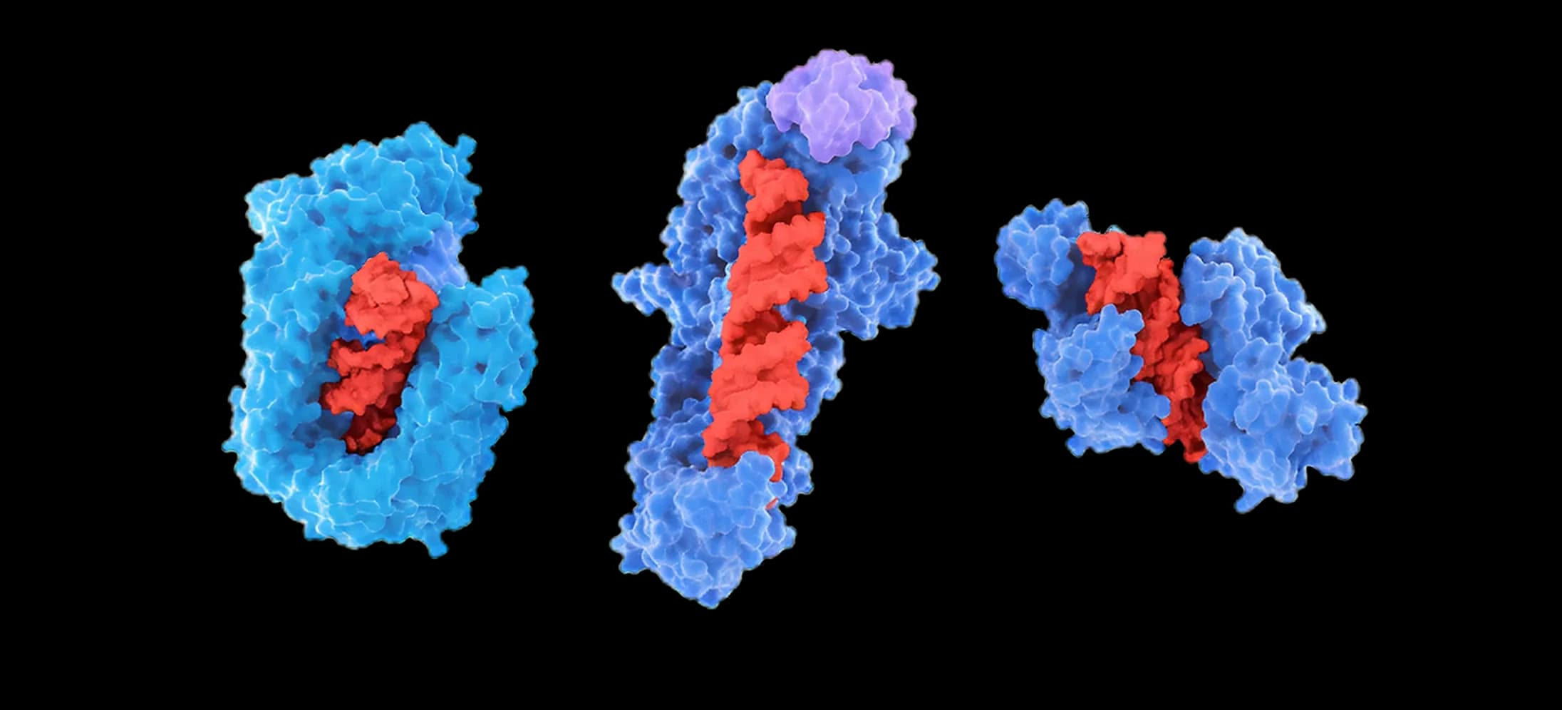 De Novo Enzyme Design